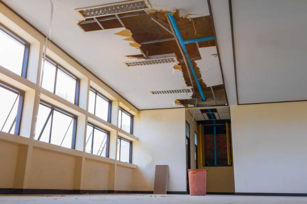 Best Water damage restoration specialists  in Grundy Center, IA