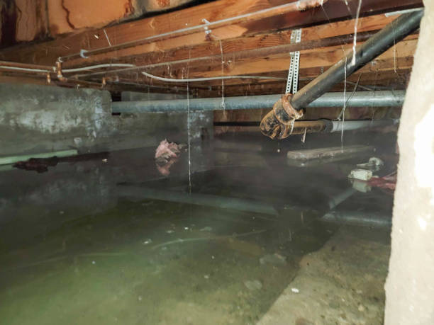 Best Flood restoration services  in Grundy Center, IA