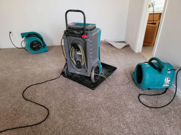 Best Flood damage cleanup  in Grundy Center, IA