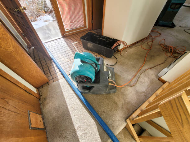 Best Carpet water damage restoration  in Grundy Center, IA