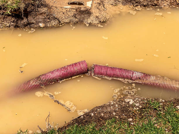 Best Water damage restoration near me  in Grundy Center, IA